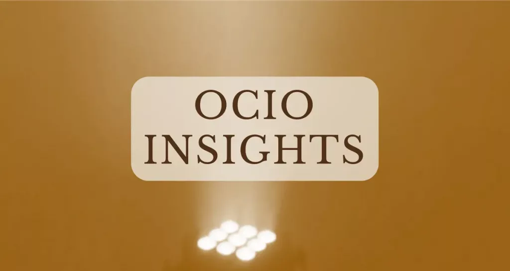 Leita's The Seeker OCIO Insights banner with warm spotlight and golden background